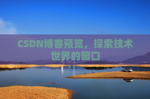 CSDN博客预览,探索技术世界的窗口